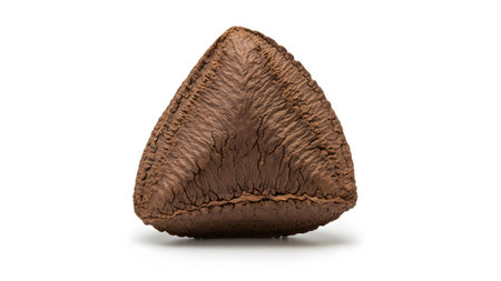 Background showing triangular brown seed with textured surface and cracked pattern on white...