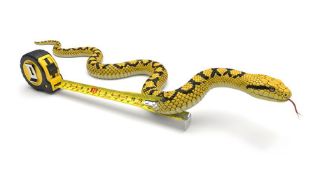 Around showing yellow measuring tape with a yellow snake coiled around it on a white background....