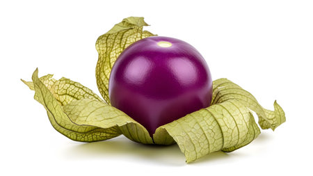A shiny purple tomatillo sits comfortably within its splayed green husk leaves, presented on a...
