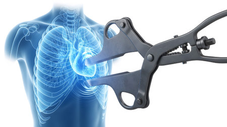 White showing surgical clamp and human heart with transparent rib cage on white background.