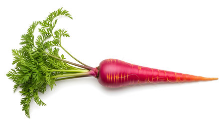 A purple carrot with lush green leaves and stem lies horizontally across a bright white background.