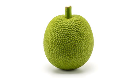 A whole, green breadfruit with a distinctively textured, bumpy surface and a short stem on white.