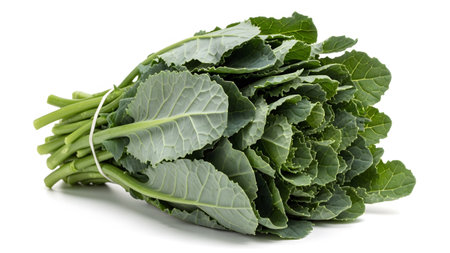 Fresh showing bundle of fresh green kale leaves tied with a white rubber band. resolution...