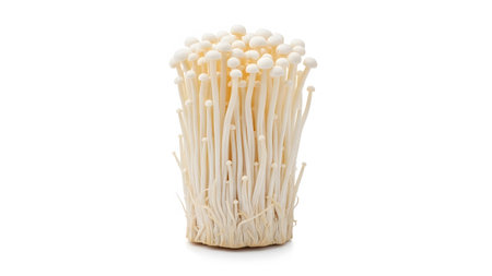 A tightly packed bunch of slender white enoki mushrooms with delicate stems and caps on a white...