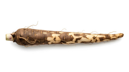 Whole showing whole black salsify root vegetable on white background. resolution