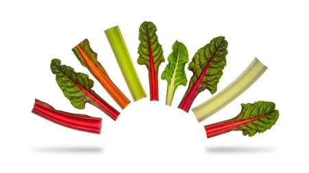 Chard showing arc of vibrant swiss chard stems and leaves with subtle shadow on white.