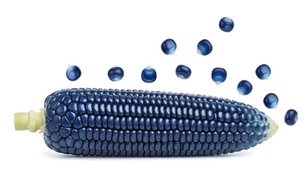 (2812) showing dark blue corn cob with scattered blue kernels on a white background.