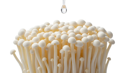 Stock showing close up of enoki mushroom caps with a water droplet falling on white background....