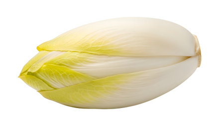 Tips showing fresh belgian endive vegetable isolated on white background with subtle yellow...