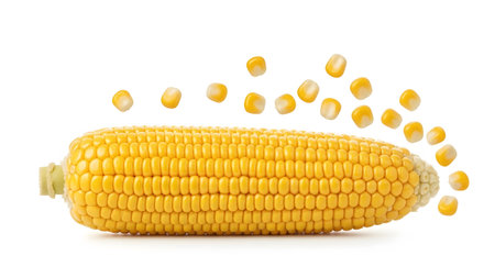 A bright yellow corn cob with loose kernels scattered around it on a plain white background.