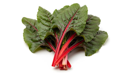 Leaves showing bunch of red chard leaves with bright red stems on white background.