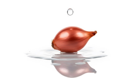 Splash showing red shallot onion with a water droplet falling onto a splash of water isolated on...の写真素材