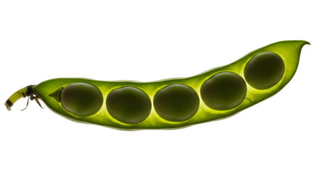 A vibrant green bean pod is backlit, revealing five perfectly round, illuminated peas nestled...