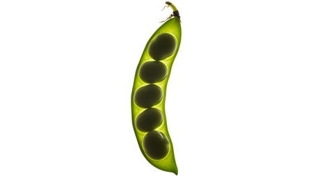 A single green pea pod with five dark green peas is backlit against a white background....