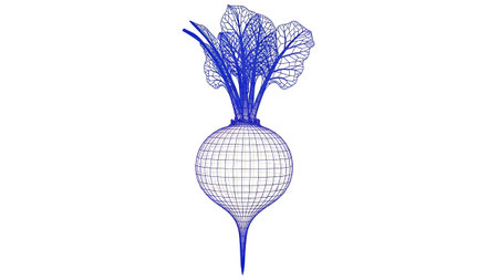 Background showing blue wireframe beet with leaves and visible mesh structure on white...