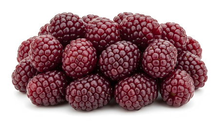 A dense heap of dark red blackberries, each with a distinct textured surface, is arranged on a...