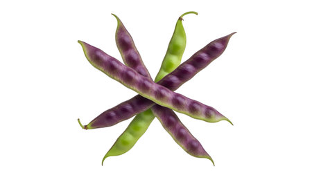 Fresh showing six purple and green bean pods arranged in a starburst pattern on a white...の写真素材
