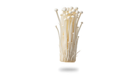 Stems showing bunch of enoki mushrooms with white caps and long thin stems isolated on white...