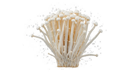 A cluster of delicate white enoki mushrooms with numerous small water droplets and bubbles...