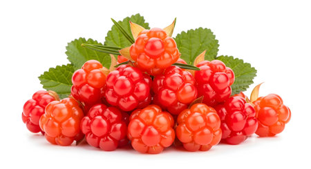 A heap of plump orange-red cloudberries are arranged with green leaves on a clean white studio...