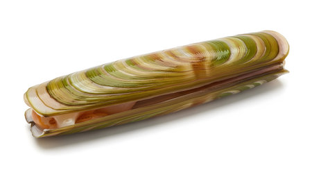 showing razor clam shell with visible meat and tentacles on white background.