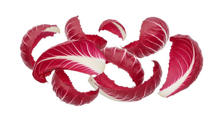 Several scattered radicchio leaves display vibrant red edges and prominent white veins against a...の写真素材