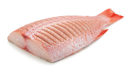 Fish showing whole red snapper fish with sliced flesh and red scales isolated on white.