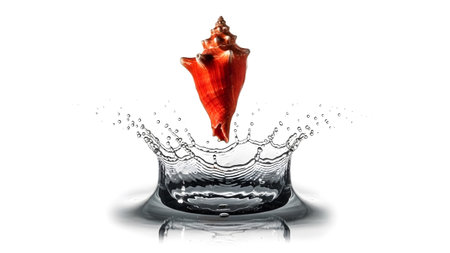 An orange conch seashell is captured mid-air, erupting from a dynamic water splash with...