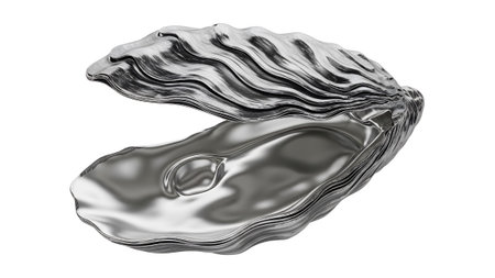 showing open silver oyster shell with a smooth interior on white background.