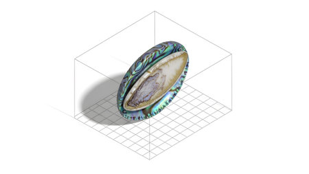 showing iridescent abalone shell displayed inside a transparent isometric grid box on...