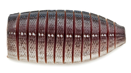 Grey showing sliced fish body with grey and silver scales on a white background. resolution...