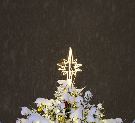 Decorated christmas tree in the center of Tallinn. christmas tree with lights covered with snow....