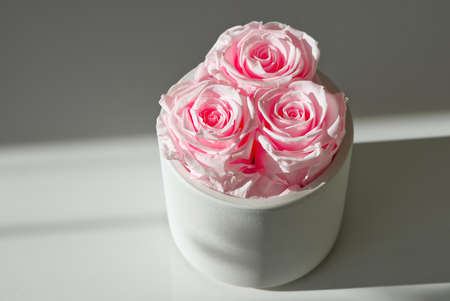 Handmade Pink Roses in a pot, flower decor in the room. close upの写真素材