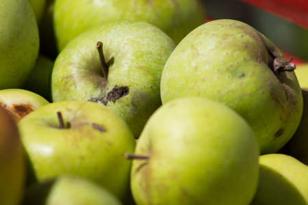 background of yellow apples macroの写真素材