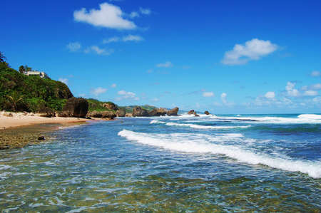 Barbados,East Coast, Caribbean, West Indiesの写真素材