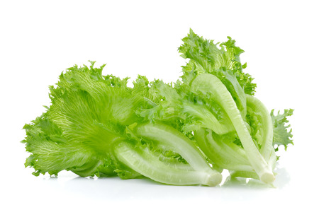 Fresh  green  lettuce isolated on white backgroundの写真素材