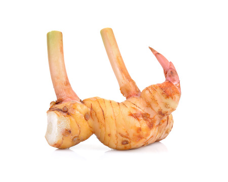 Fresh galangal isolated on white background.の写真素材