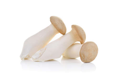 mushroom  eryngii on white backgroundの写真素材