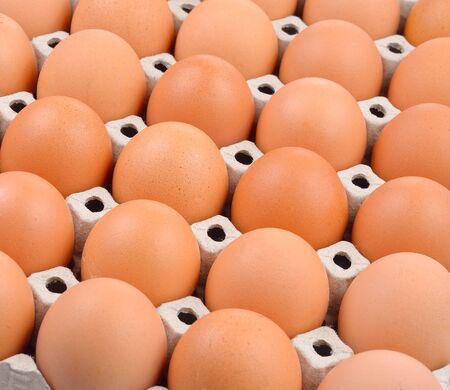 Group of fresh eggs in a  paper trayの写真素材