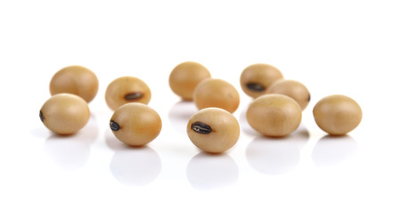Dried  soybean on a white backgroundの写真素材