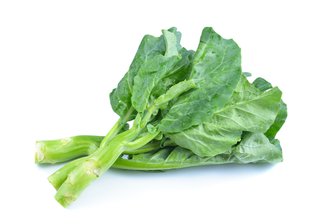 chinese broccoli  on white backgroundの写真素材