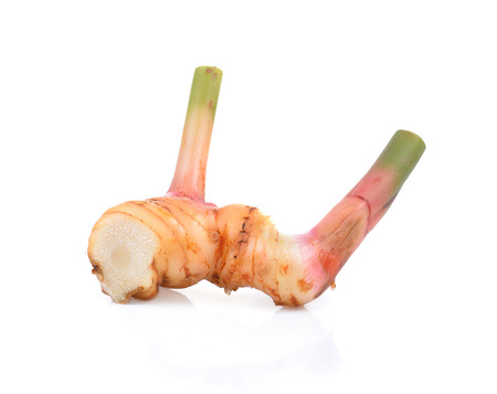 Fresh galangal isolated on white background.の写真素材
