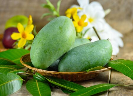 Fresh green mango on wooden  backgroundの写真素材