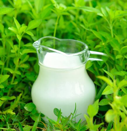 Glass of milk  on green glassの写真素材