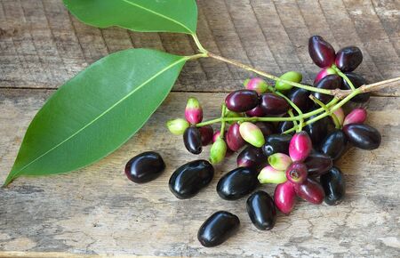 Jambolan plum, Java plum on wooden backgroundの写真素材