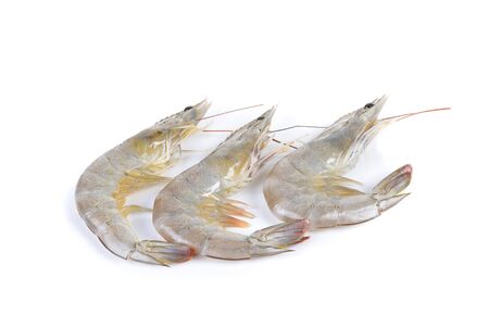 Fresh  shrimp on white backgroundの写真素材
