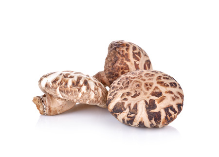 shiitake mushroom  on white backgroundの写真素材