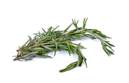 Rosemary on white backgroundの写真素材