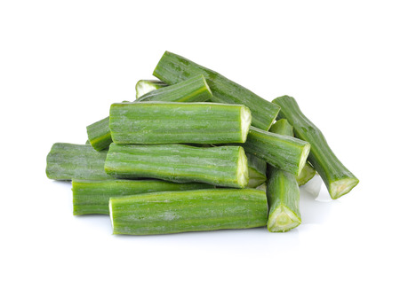 Moringa oleifera Lam on white backgroundの写真素材