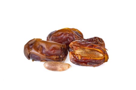 date palm on white backgroundの写真素材